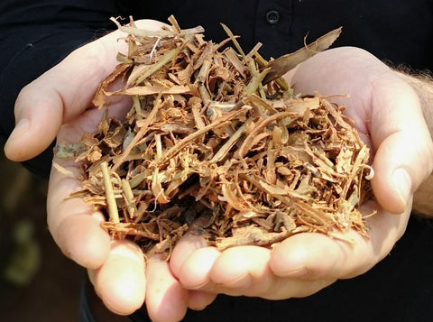 Zimt Ceylon gemahlen BIO
