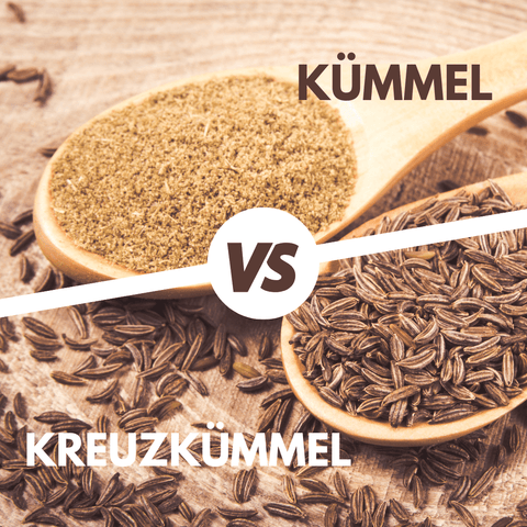 Was ist der Unterschied zwischen Kümmel und Kreuzkümmel? - bioKontor