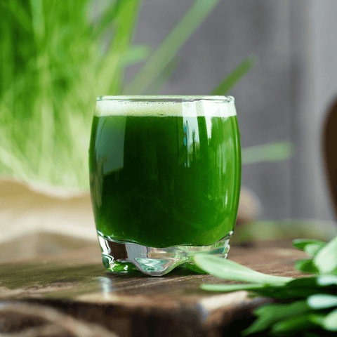 Greens - bioKontor