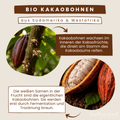 Kakaofrüchte und Gewinnung Kakaobohnen