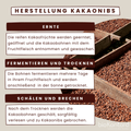 Herstellung von Kakaonibs von bioKontor