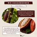 Kakaofrüchte zur Gewinnung von Kakaobohnen für Kakaonibs von bioKontor