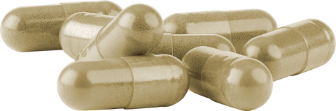 Bio Triphala Kapseln - vegan - bioKontor