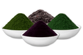 Heavy Metal Detox Smoothie Set nach Anthony William - BIO GerstengrasSAFTpulver 100 g, Wildheidelbeerpulver 200 g, Spirulinapulver 250 g, Dulseflocken 50 g - bioKontor