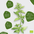 Oregano Öl Kapseln BIO - vegan - bioKontor
