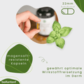 Oregano Öl Kapseln BIO - vegan - bioKontor