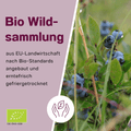 bio Wildsammlung von Wildheidelbeeren aus EU-Landwirtschaft nach Bio-Standards